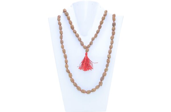 Semi-Natural Rudraksha - Mala Image