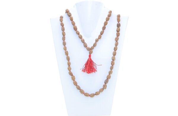 Natural Rudraksha - Mala Image