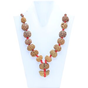 Natural Rudraksha - Certificate: DCL/2026/B/0004 - Mala Image