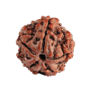 1 Mukhi Rudraksha 1mm 1gm - Origin: SouthIndiann - Rudraksha
